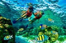 Private boat snorkeling in Puerto Morelos