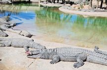 Djerba Explore Park 3 Parks in 1 with Transfers included