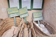 Djerba Explore Park 3 Parks in 1 with Transfers included