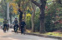 E-bike tour to local life: Cultural side of Okinawa