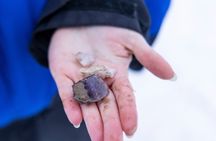 Day trip to Pyhä-Luosto National Park & Amethyst Mine - Rovaniemi