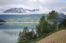 Anchorage to Whittier Cruise Transfer Tour with Port Drop-Off