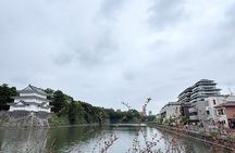 Nagoya Castle Neighborhood Walk: Local Supermarket & Food Tour