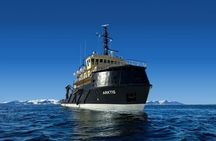 Svalbard Scenic Cruise