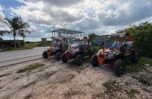 Zanzibar Buggy Adventure In South