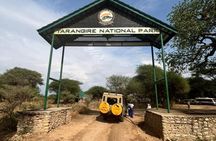 2 Days Wildlife Safari In Tarangire NP & Ngorongoro Crater