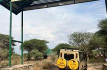 2 Days Wildlife Safari In Tarangire NP & Ngorongoro Crater