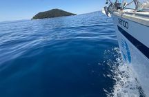 Skopelos to Alonissos Cruise with Small Group