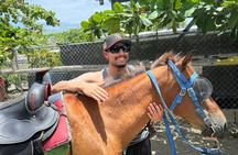 Horseback Riding Tour of the Countryside and Beach