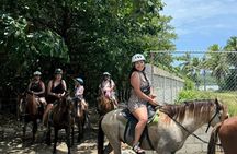 Horseback Riding Tour of the Countryside and Beach