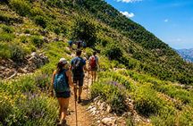 Chouwen Lake Hike & Swim | Jabal Moussa Reserve Day Trip
