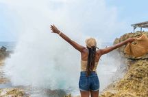 West Coast Bus Tour in Curaçao Beaches and Turtles