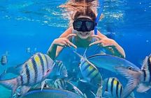 El Cielo Cozumel Tour Snorkeling and round transfers and lunch