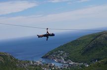 Zipline Adventure Tour Over the Coastline of Petty Harbour