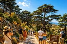 Qadisha Valley, Cedars Hike & Kozhaya | Small-Group All-Inclusive
