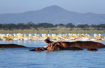 Hell's Gate and Lake Naivasha Boat Riding Tour