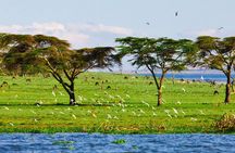 Hell's Gate and Lake Naivasha Boat Riding Tour