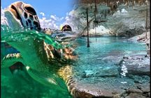 Turtle snorkeling and visit of an underground cenote with food