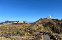 Jeju East Highlights Tour Manjanggul Lava Tube and Haenyeo Show