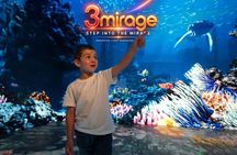 3Mirage Immersive Virtual Tour Family Pass