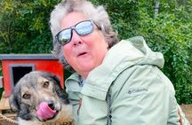 Summer Dog Sled Adventure in Willow Alaska