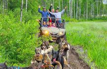 Summer Dog Sled Adventure in Willow Alaska