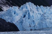 Whittier Glacier Wildlife Boat Tour