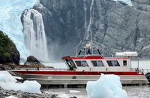 Whittier Glacier Wildlife Boat Tour