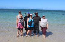 Private ATV & Buggy |Cruise Excursion from Amber Cove & Taino Bay