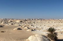 Desert white exciting experience