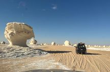 Desert white exciting experience