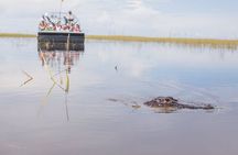 Miami Combo: Everglades Adventure and Sightseeing Tour