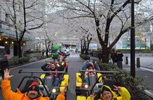 Shibuya Crossing x Tokyo Tower Go-Kart Tour(IDP&Passport Required