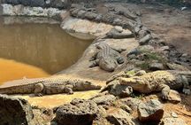 6 Days Wildlife and Scenic Safari in Kenya