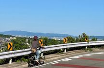 Osaka E Bike Tour: Hidden Nature, Temple & Japanese Cheesecake