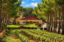 Anjar, Baalbek & Ksara Winery Small-Group Tour | Lunch Included