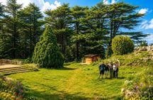 Qadisha Valley, Cedars Hike & Kozhaya | Small-Group All-Inclusive