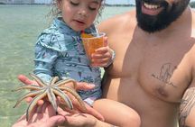 Miami Raccoon Island Wildlife Boat Tour with Captain and Photos