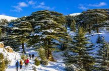 6-Day Highlights of Lebanon Tour from Beirut with Pickup