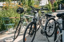 Bologna Bike Tour: explore the Old Town & Secret Spots
