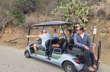 Avalon Golf Cart Tour Led by Former Museum Curator