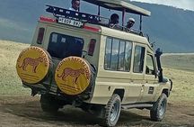 5 Days 4 Night Serengeti National Park 4WD Tour Adventure