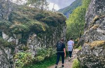 Bergen: Tour National Park Folgafonna and Glacier Lake