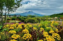 Private Tour In Luxury Vehicle Mt. Fuji and Hakone English Driver