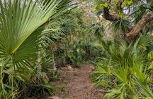 Oscar Scherer Vortex Tour Mindful Hiking and Meditation