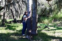 Myakka River Vortex Tour