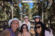 Myakka River Vortex Tour