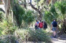 Myakka River Vortex Tour