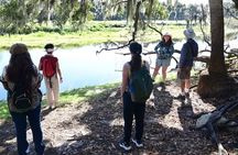 Myakka River Vortex Tour