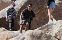 Guided Tour of Joshua Tree National Park with Local Expert